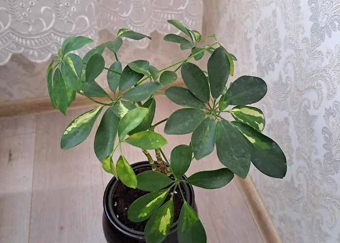 Appartamento Tmg Bright Klaipėda